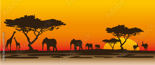 Abendstimmung Afrika