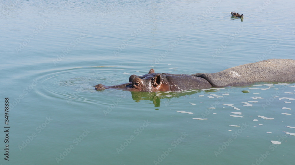 Obraz premium SONY DSC