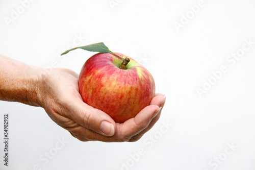 Apfelernte