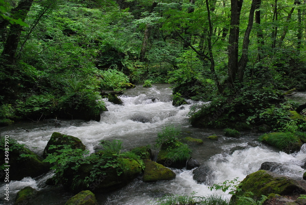 渓流 渓流