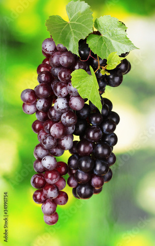 Ripe red grapes on a green background