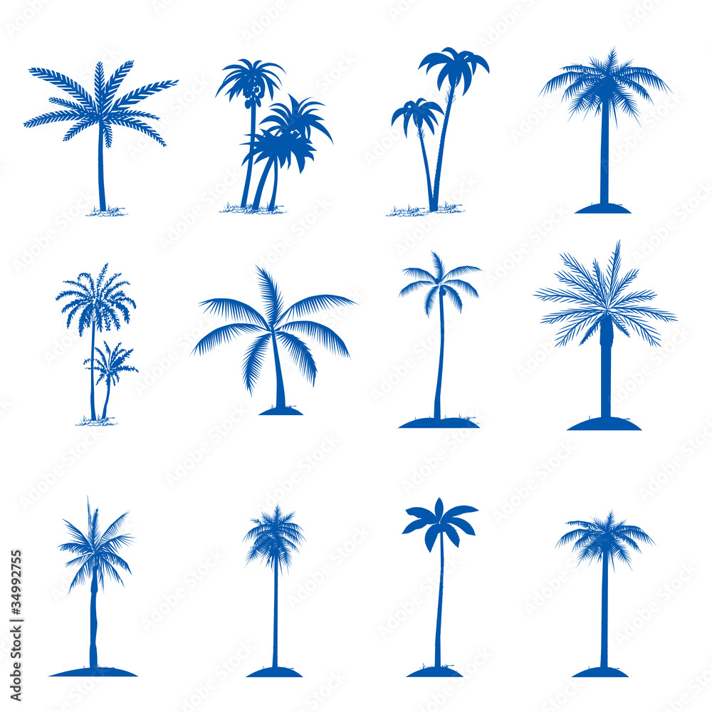palm tree set