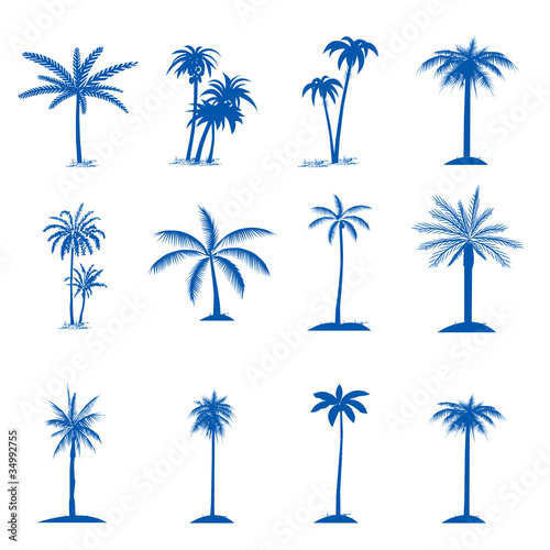 palm tree set