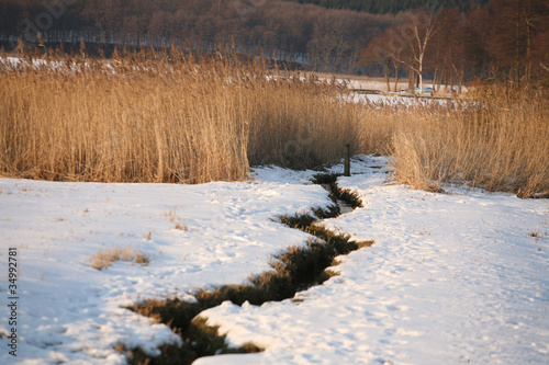Nature in winter under snow in denmark