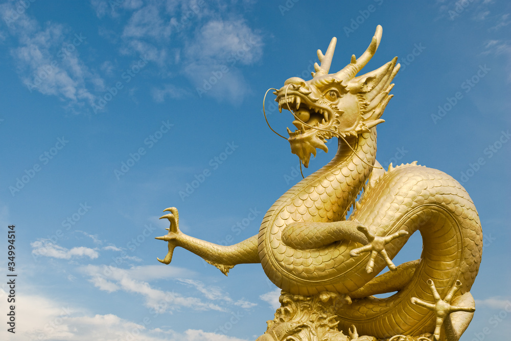 Fototapeta premium The great sea dragon of Indian ocean
