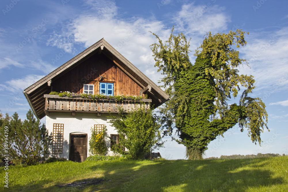 Bavaria house
