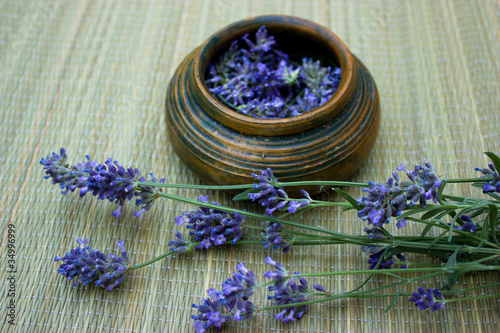 Photography Lavender