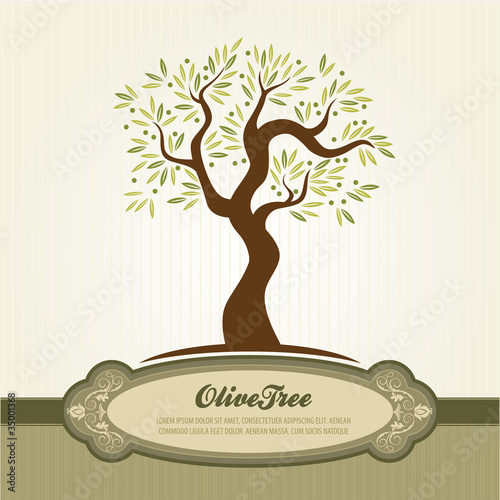 Vintage olive vector