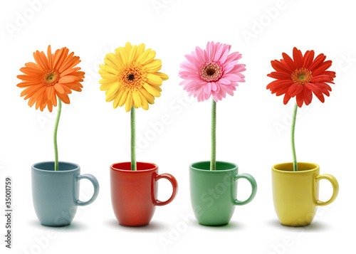 colorful daisy in coffee mug