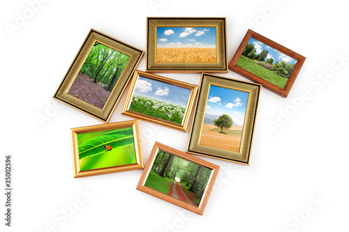 Nature photos in picture frames