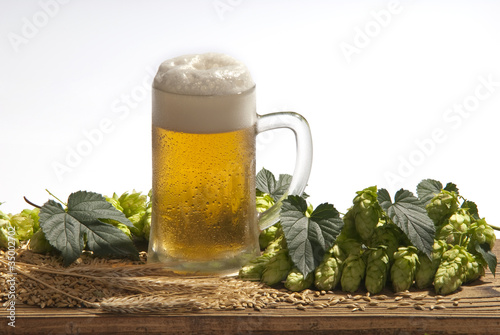 beer - isolated photo