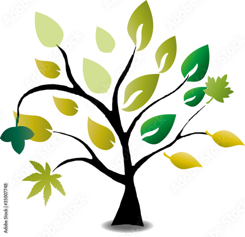 Baum, Blätter, Bio, Eco