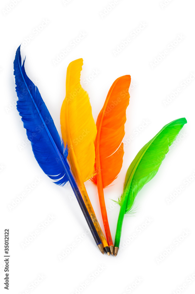 Writing feather isolated on the white background Writing feather isolated on the white background