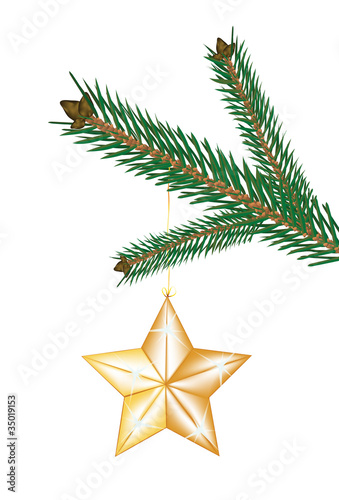 Weihnachtsstern