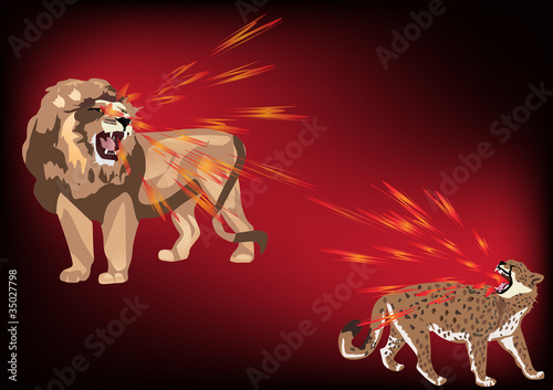 lion and leopard illustration