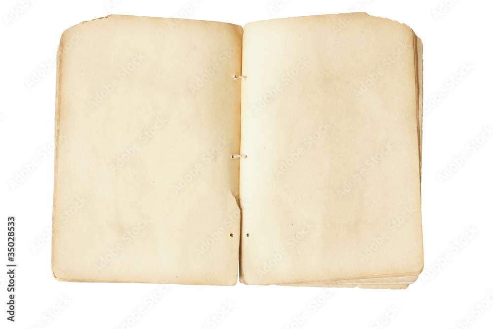 Open blank ancient book