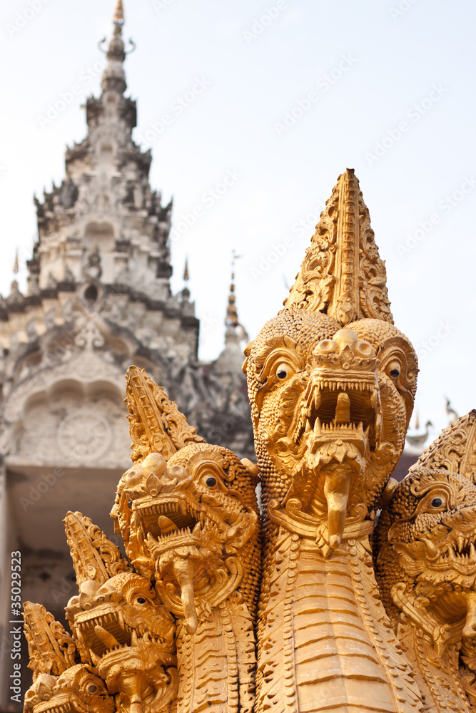 Fototapeta premium dragons