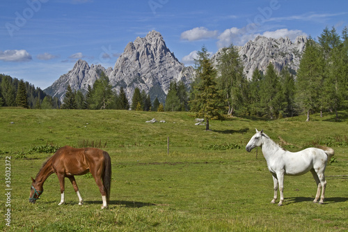 Pferdesommer in den Bergen © Hans und Christa Ede