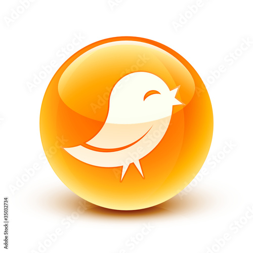icône oiseau information / bird icon