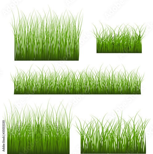 Vector Set Of Green Grass