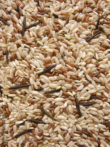 Variety of rice