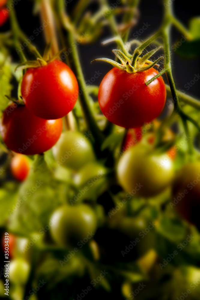 Tomato Healthy food