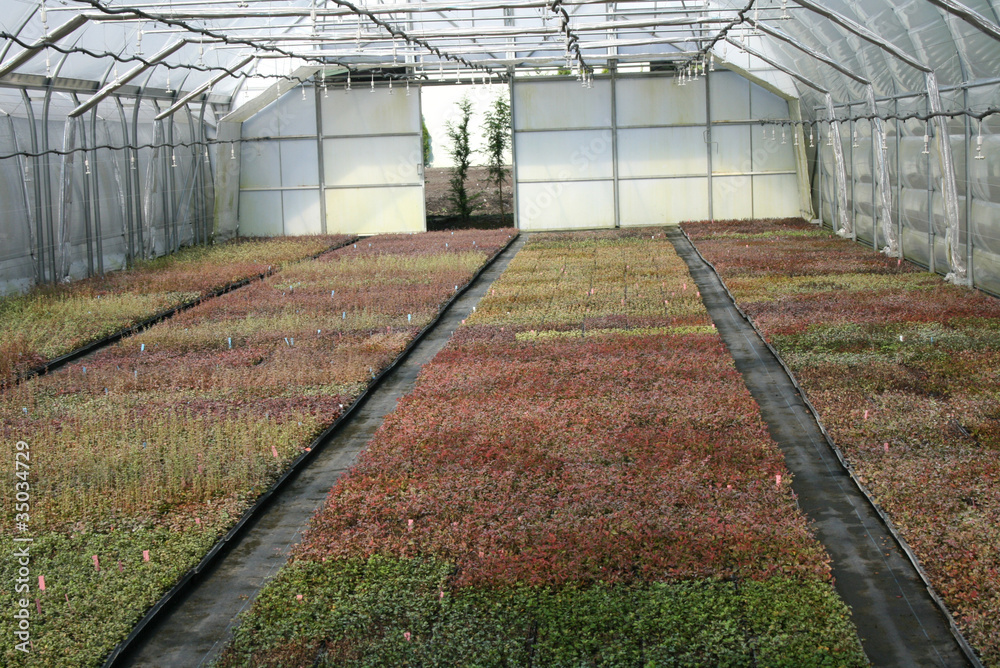 Naklejka premium Nursery