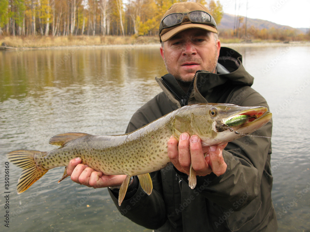 Obraz premium Fishing