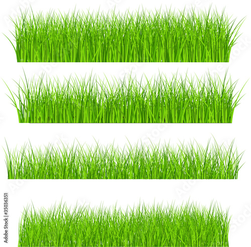 Set Of Green Grass Illustration