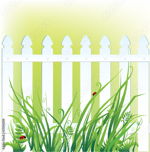 Fence and grass