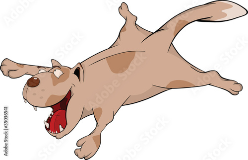 Cat.Cartoon
