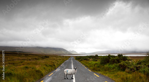 Fotografía Driving in Ireland
