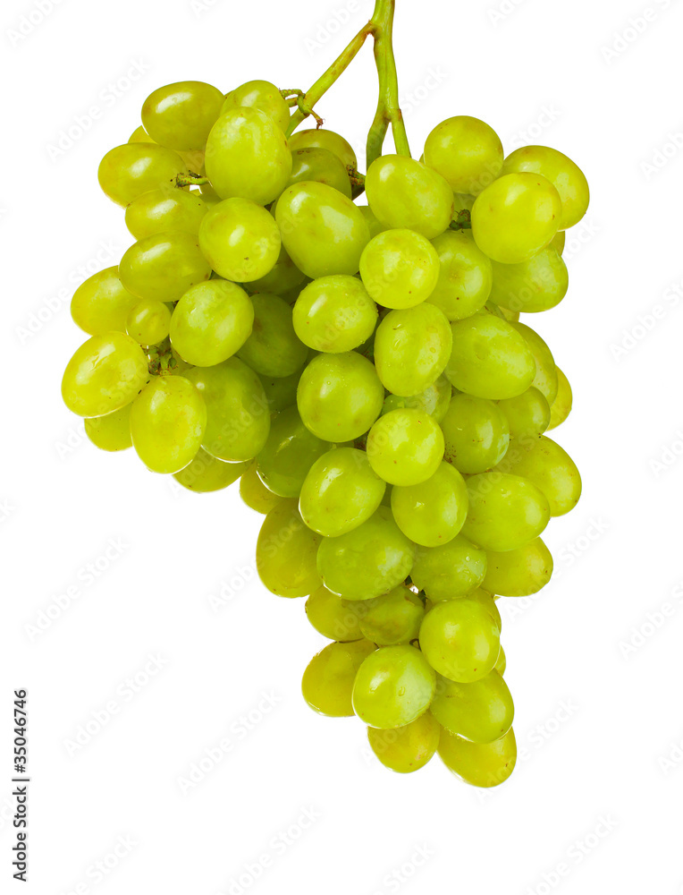 Ripe green grapes isolated on white Ripe green grapes isolated on white