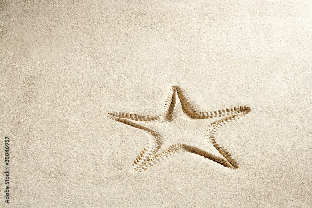 beach starfish print white caribbean sand summer beach starfish print white caribbean sand summer