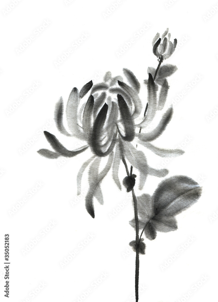 Naklejka premium Sumie chrysanthemums