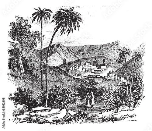 Bethany or Biblical village, Jerusalem, vintage engraving.