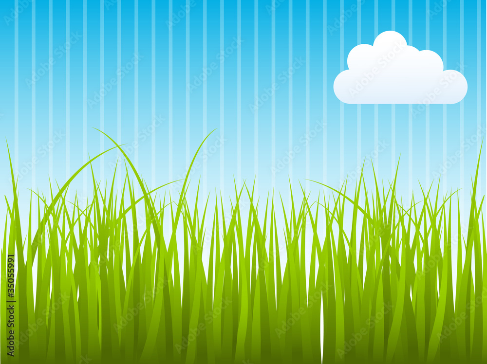 Obraz premium Green Grass On Stripped Background