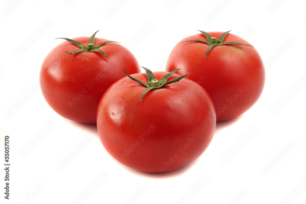 Tomato isolated in white background
