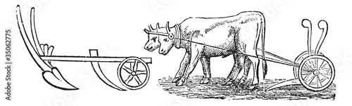 Plough vintage engraving