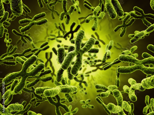 Chromosomes