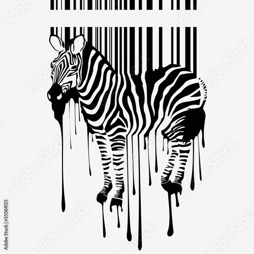 the abstract vector zebra silhouette