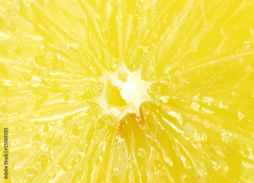 Macro - Lemon