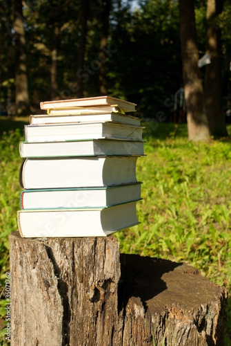 Stack of books laying outdoors on the stump