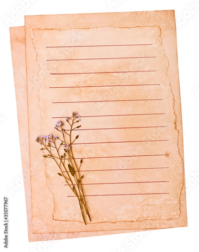 Old paper and the dried flowers, on the white