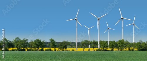 Windkrafträder in einem Rapsfeld hinter einer Allee photo