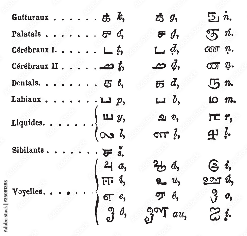 Tamil language Alphabets vintage engraving Stock Vector | Adobe Stock