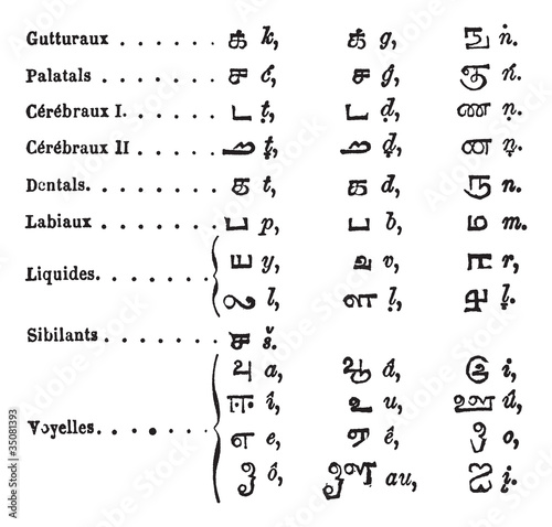 Tamil language Alphabets vintage engraving