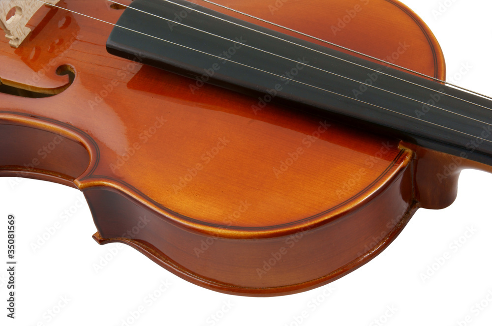 Violin isolated on white background