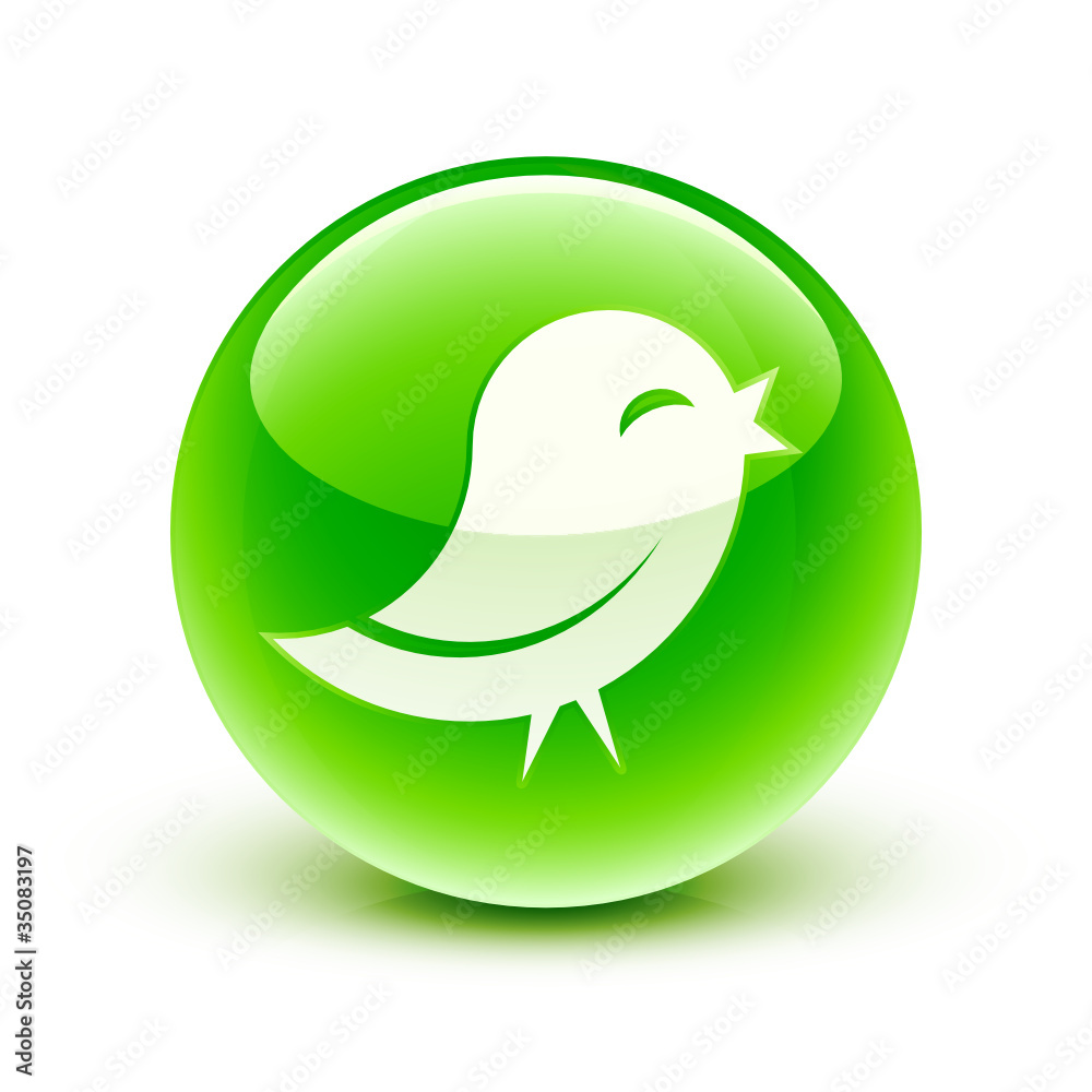 Fototapeta premium icône oiseau information / bird icon