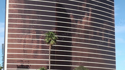 Great hotel and palm. Las Vegas, Nevada, USA photo